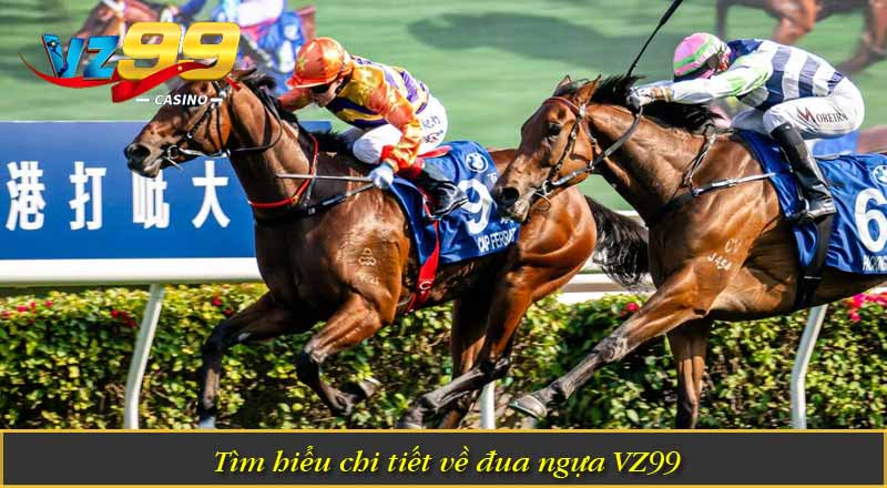 Đua Ngựa VZ99 – Tìm Hiểu Các Thuật Ngữ Quan Trọng Trong Game 1 Tìm hiểu chi tiết về đua ngựa VZ99